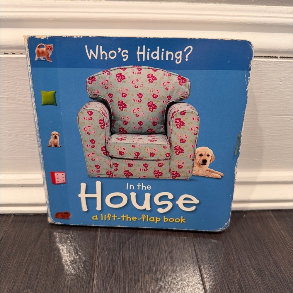 Who’s Hiding in the House Lift-the-Flap Board Book Kids Toddler Baby